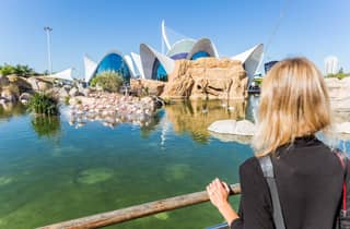 Valencia: Oceanogràfic & Wissenschaftsmuseum im Kombiticket