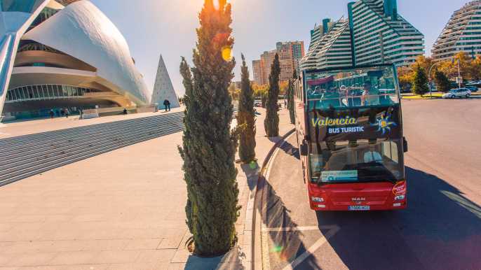 Valencia: ticket Oceanogràfic y autobús turístico 48 horas