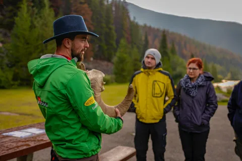 From Jasper: Jasper National Park Wildlife Discovery Tour