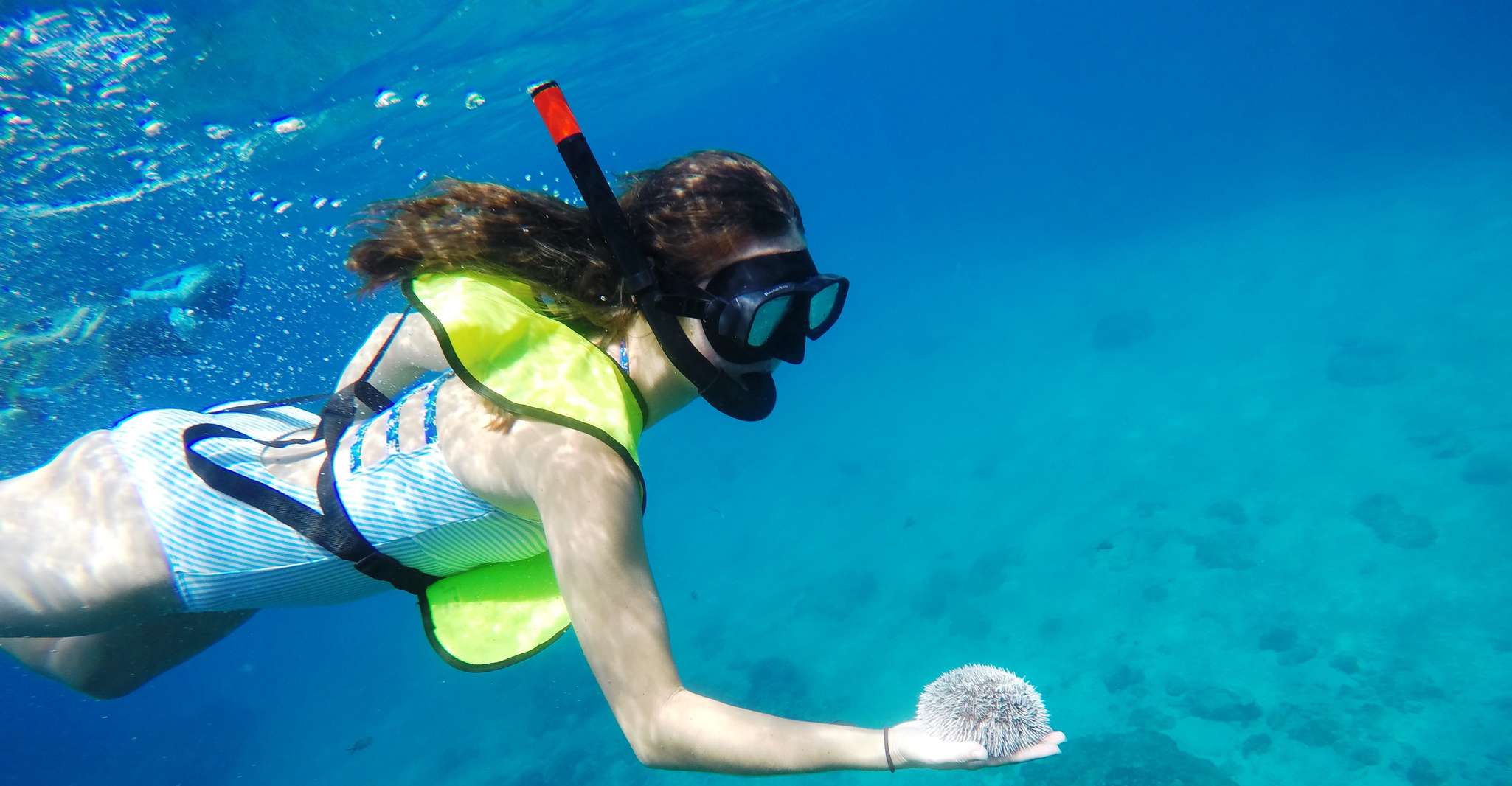 Snorkeling Tour & Sosua Beach Day - Housity