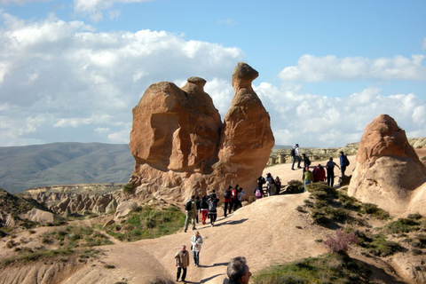 From Istanbul: Private Cappadocia Day-Tour Including Flight