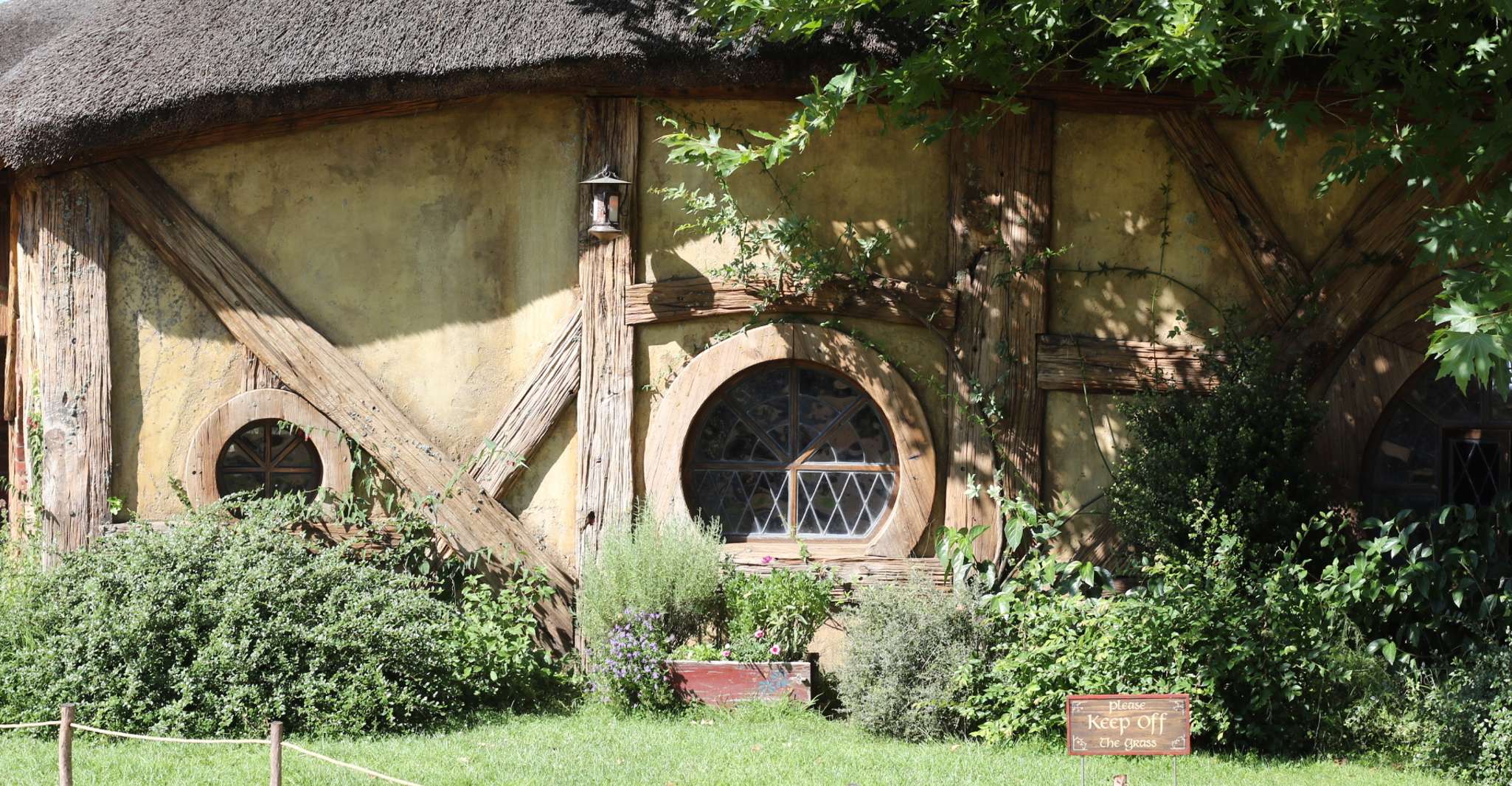 De Auckland, visite de l'après-midi de Hobbiton - Hizvo