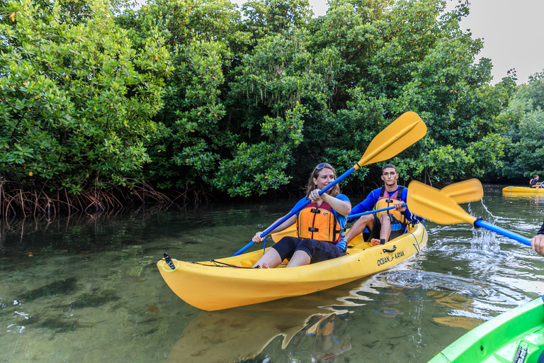 Kayak de nuit dans la baie bioluminescente de Laguna Grande