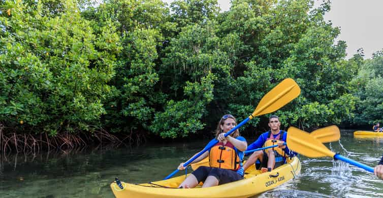 San Juan: Bioluminescent Laguna Grande Bay Night Kayaking | GetYourGuide