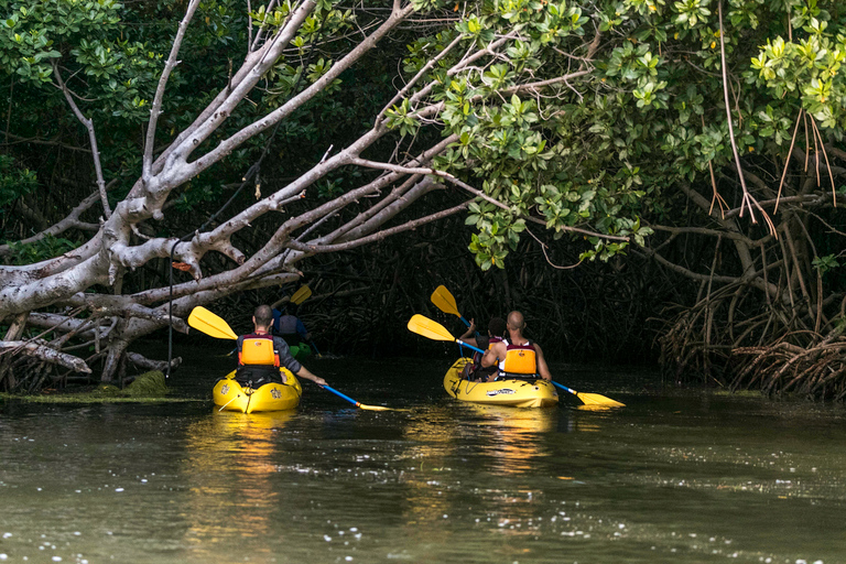 Kayak de nuit dans la baie bioluminescente de Laguna Grande