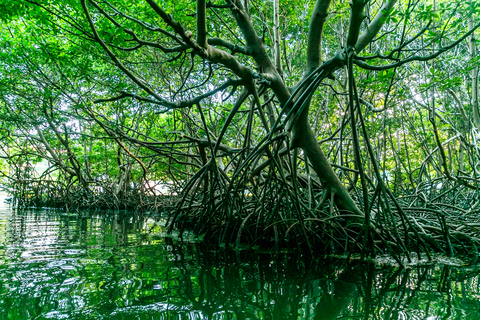 Kayak de nuit dans la baie bioluminescente de Laguna Grande