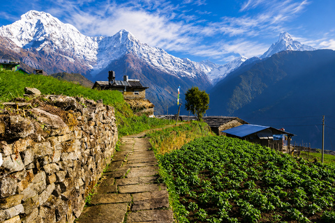 From Pokhara: 3-Day Ghandruk Trek with Guide & Transfers From Pokhara: 3-Day Ghandruk Trek by Public Bus