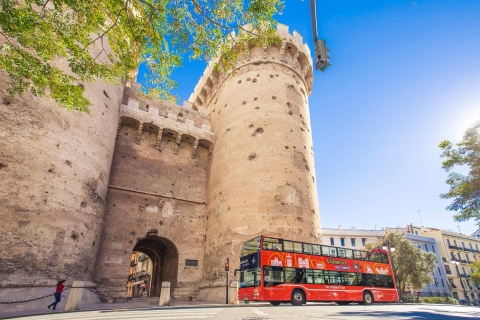 Valence: billet de bus à arrêts multiples de 48 heures et San NicolásOption standard