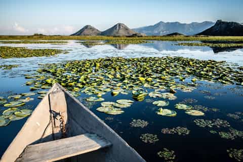 Podgorica: Skadar Lake and Wine Tour