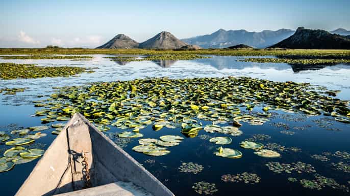 podgorica skadar lake and wine tour