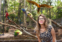 Depuis Puerto Iguazú, visite du parc d'oiseaux brésilien avec billets - Hizvo
