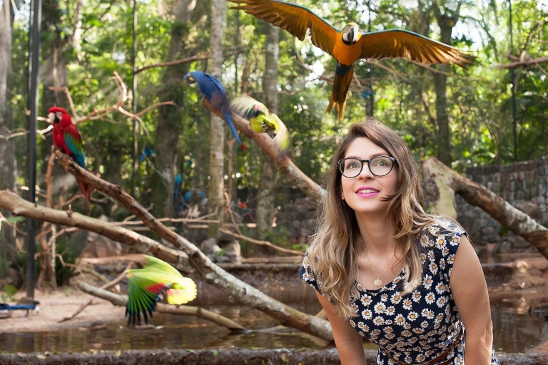Van Puerto Iguazú: Braziliaanse vogelparktour met ticketsVogelparktour - privé