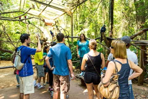 Ab Puerto Iguazú: Brasilianische Vogelpark-Tour mit TicketsVogelpark-Tour - Privat