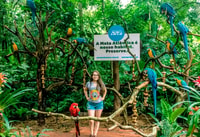Depuis Puerto Iguazú, visite du parc d'oiseaux brésilien avec billets - Hizvo