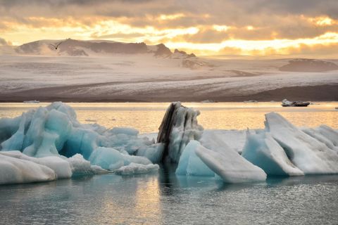 Au départ de Reykjavik : Visite en petit groupe de la lagune des glaciers