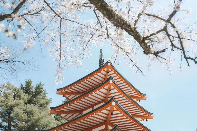 Tokyo : Excursion d&#039;une journée au Mont Fuji et au lac Kawaguchi sur InstagramDepuis Tokyo : Le Mont Fuji et l&#039;excursion familiale Oshino Hakkai