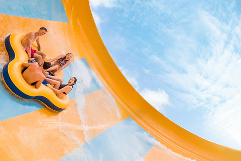 Tampa : Admission au parc d'Adventure IslandTampa : Ticket 1 jour pour Adventure Island®.