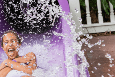 Tampa: Eintritt in den Adventure Island® ParkTampa: Adventure Island® , 1 Tageskarte