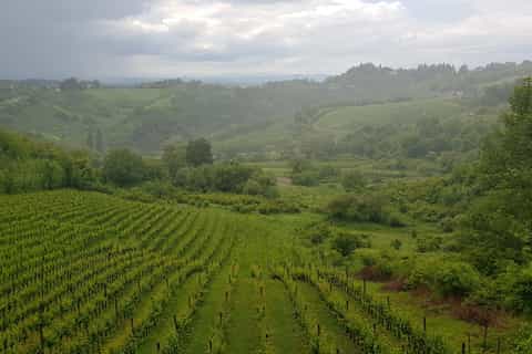 from zagreb central croatia wine cheese tour