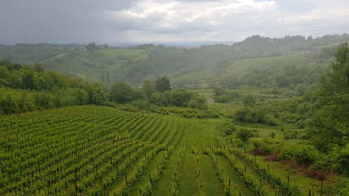 from zagreb central croatia wine cheese tour