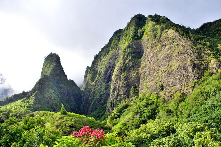Maui: visite de Haleakala et de la vallée d'Ia'o