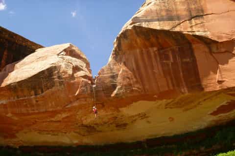 Moab: Morning or Afternoon Half-Day Rappelling Tour