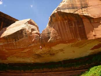 Moab: Vormittags oder nachmittags halbtägige Abseiltour Moab: Vormittags oder nachmittags halbtägige Abseiltour