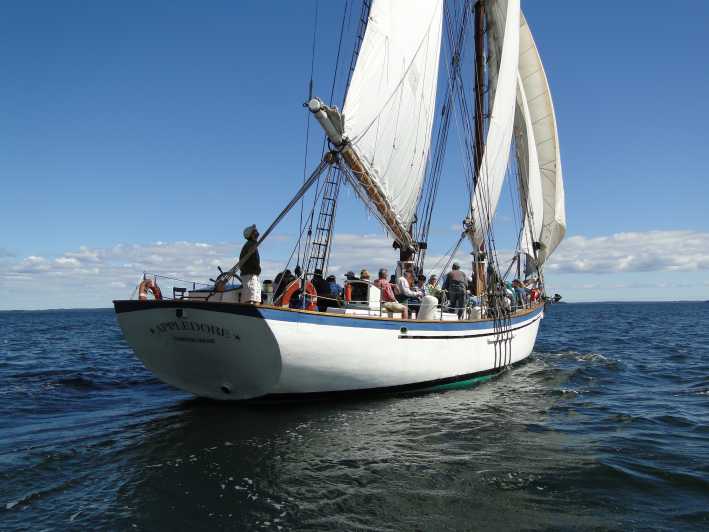 schooner sailing tour