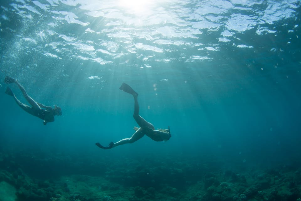 Kauai: Napali Coast Sail & Snorkel Tour from Port Allen | GetYourGuide