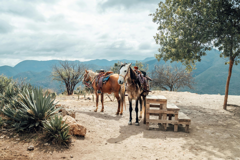 St Lucia: Horseback Ride and Pigeon Island Hike with Lunch