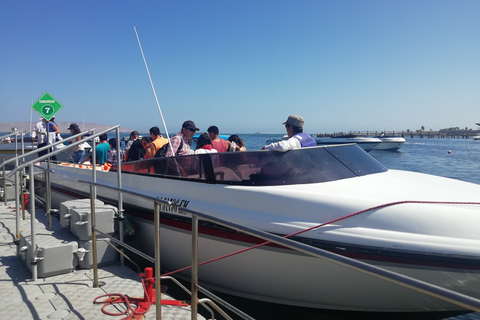 Van Lima: Ballestas Islands, Paracas Reserve & Museum Tour