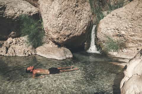 Da Gerusalemme: tour guidato a Masada, Ein Gedi e Mar Morto