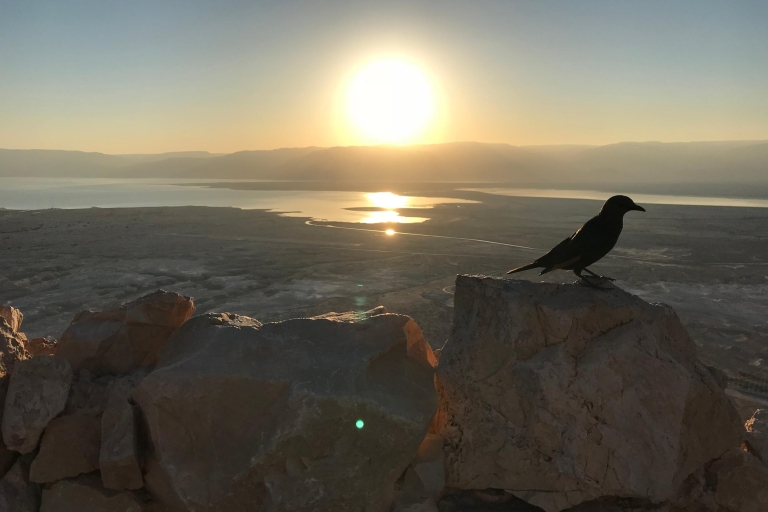 From Tel Aviv: Masada, Ein Gedi, and Dead Sea Guided Tour Shared Masada, Ein Gedi, and Dead Sea Guided Tour