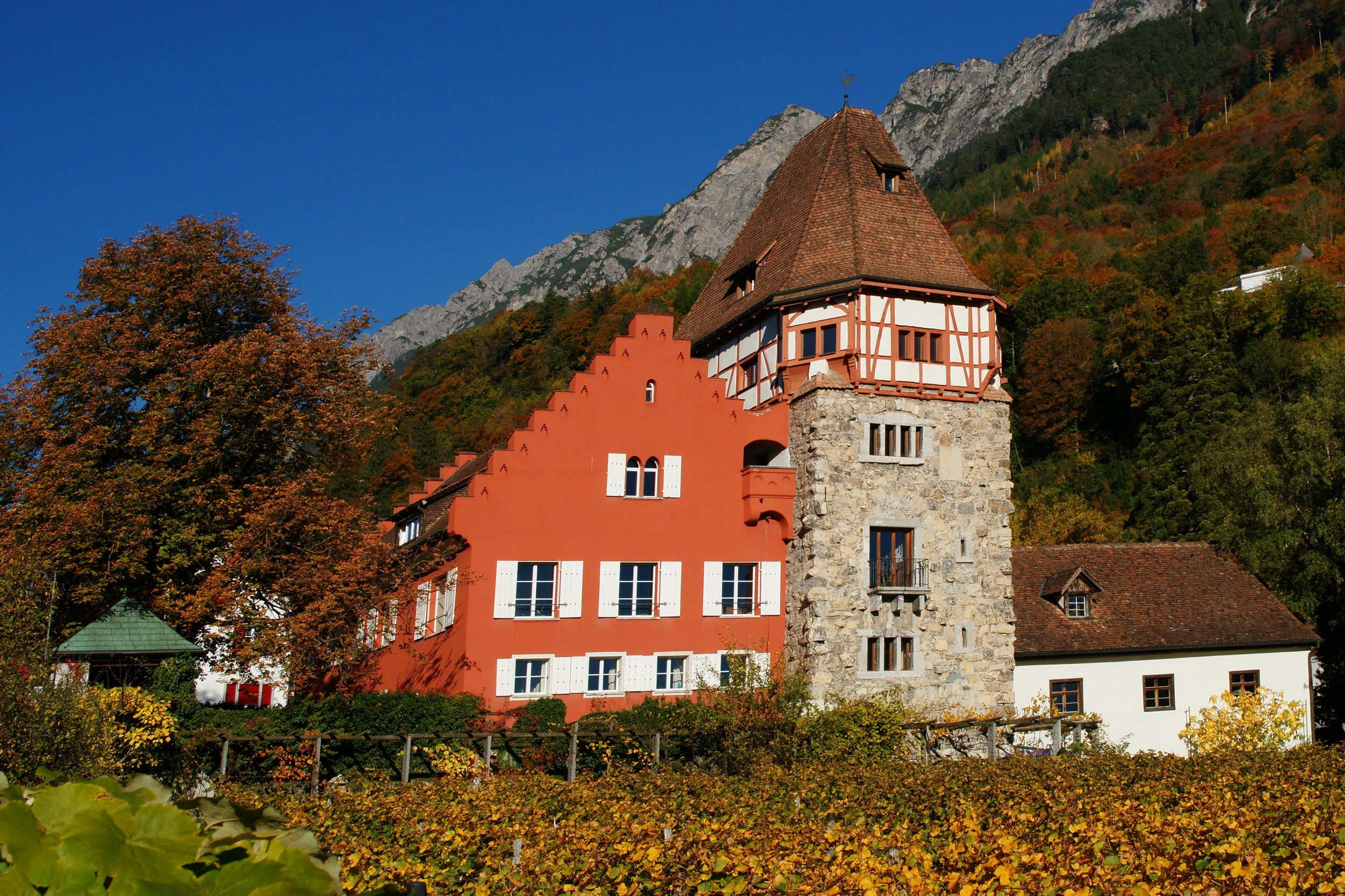Vaduz: Stadtführung mit dem Zug