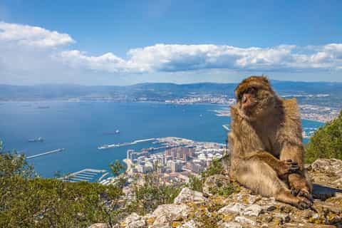Full-Day Tour to Gibraltar from the Algarve