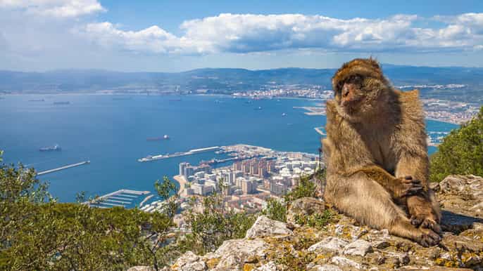 excursão de 1 dia a gibraltar saindo do algarve
