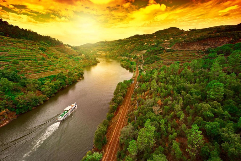 Porto : visite des vignobles de la vallée du Douro