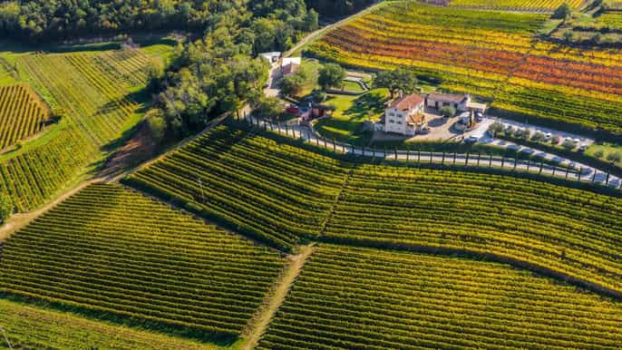 from pula rovinj and porec premium wine tour