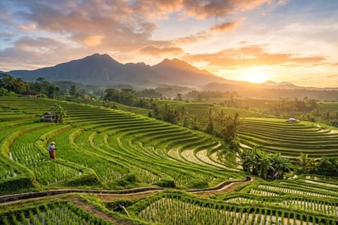 Bali: Jatiluwih Rice Terraces,Temple &Waterfall Private Tour