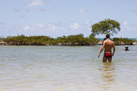 Recife: Carneiros Beach Day TourFrom Porto de Galinhas Hotels: Spanish speaking