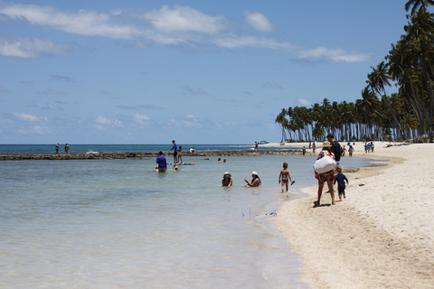 Recife: Carneiros Beach Day TourFrom Porto de Galinhas Hotels: Spanish speaking