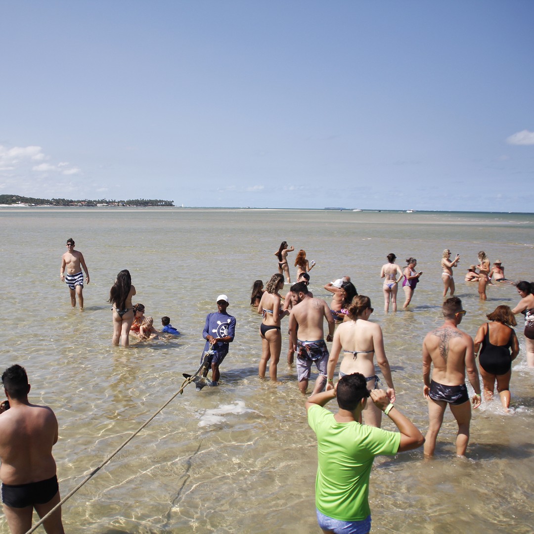 Colagem de mídia