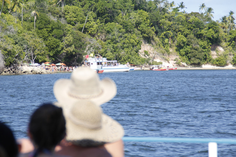 Recife: Carneiros Beach Day TourFrom Recife Hotels: Portuguese speaking