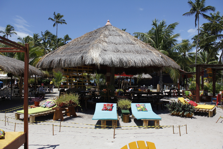 Recife: Carneiros Beach Day TourFrom Recife Hotels: Spanish speaking