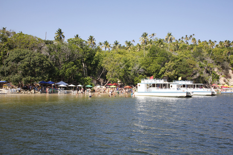 Recife: Excursión de un día a la playa de CarneirosDesde los Hoteles de Porto de Galinhas: De habla hispana