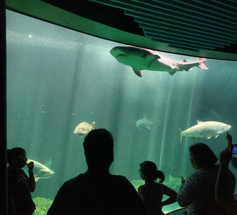 Zoos & aquariums