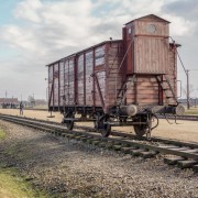 Auschwitz-Birkenau: Tour - Non-Refundable