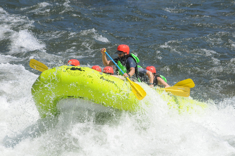 Lotus: South Fork American River Rafting 1/2 DayWeekday White Water Rafting Trip