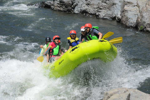 Lotus: South Fork American River Rafting 1/2 dniaRafting na białej wodzie w dzień powszedni