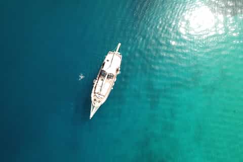 athens full day tour sailing to agistri moni aegina